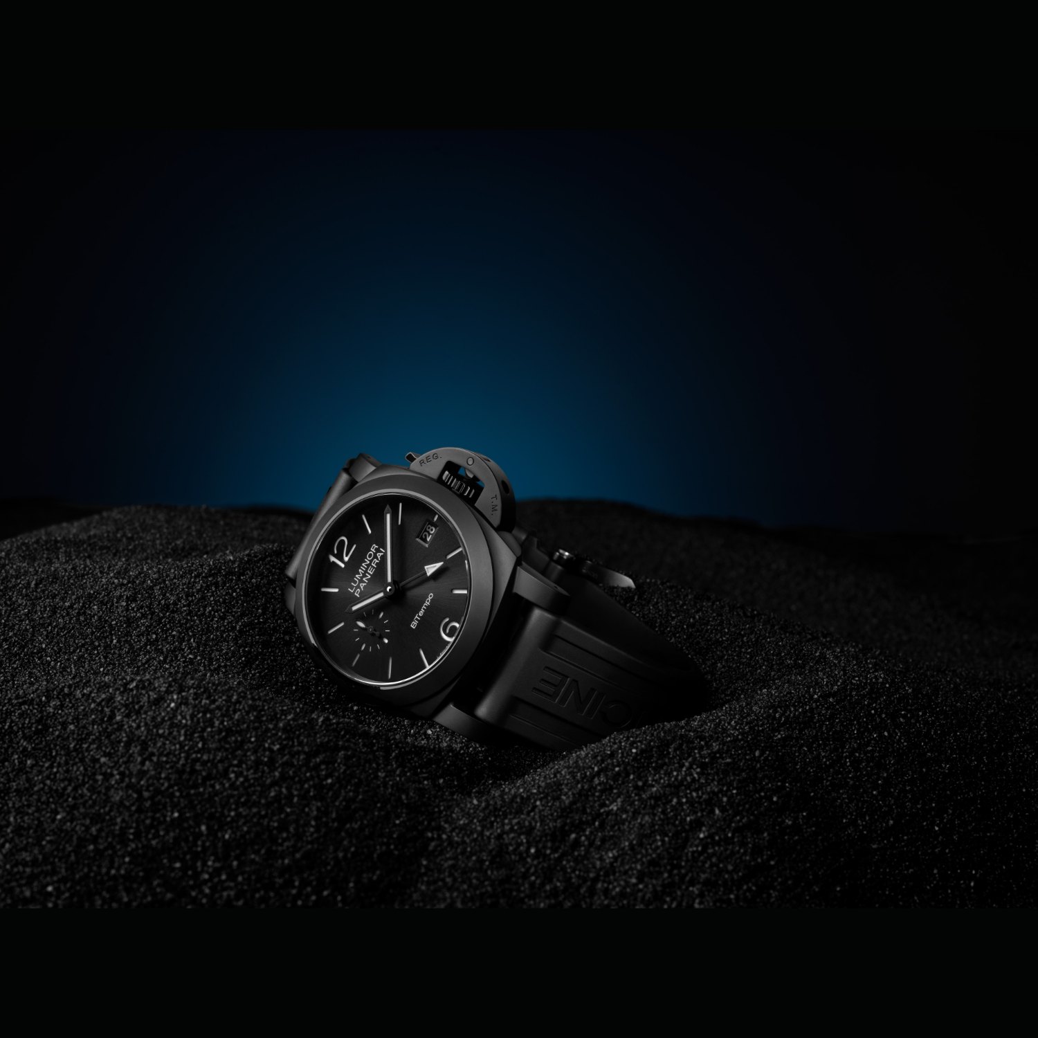 PAM01460