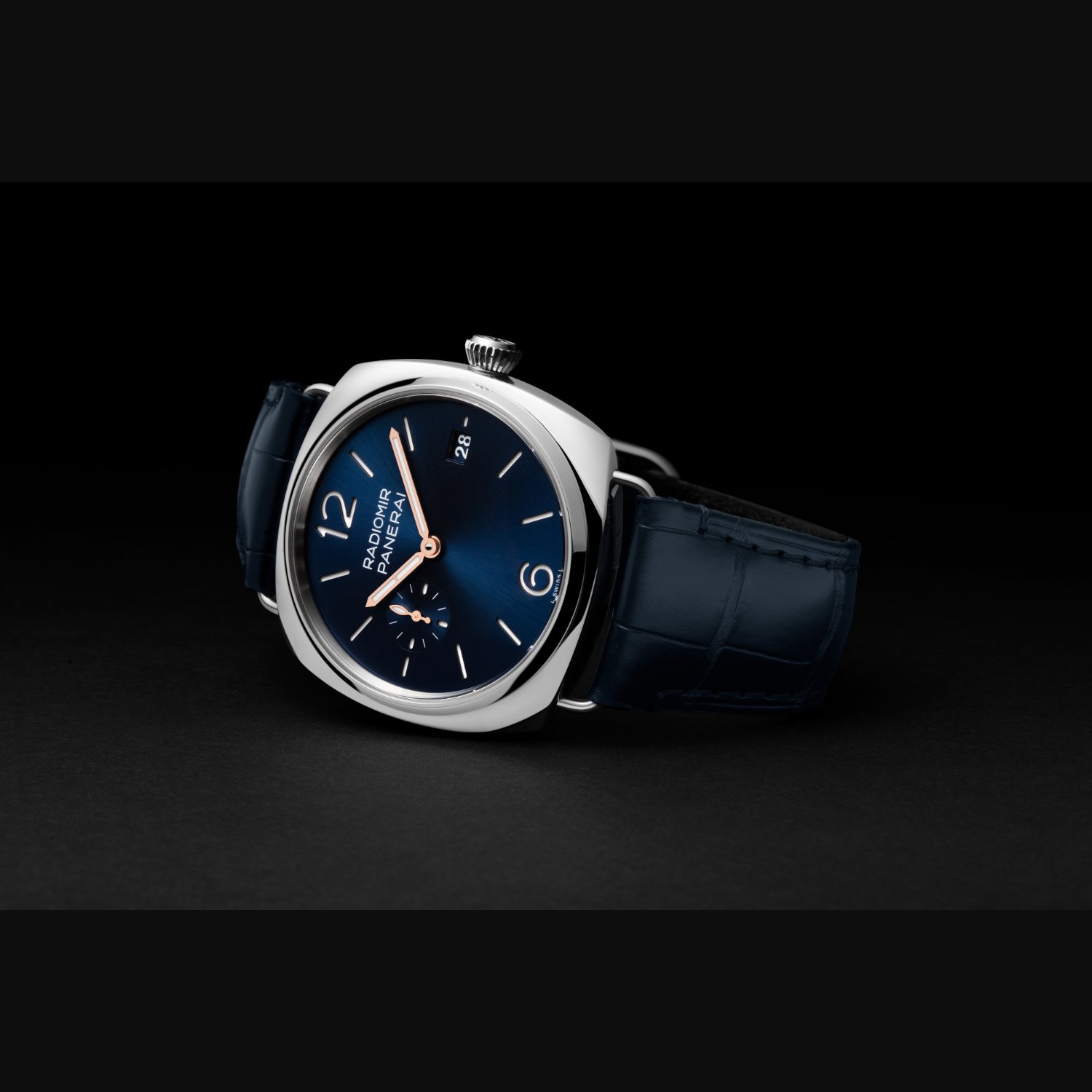 PAM01571