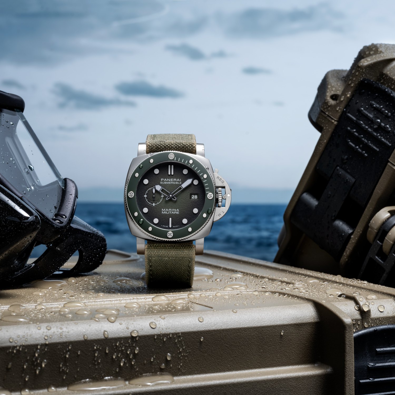 PAM01697